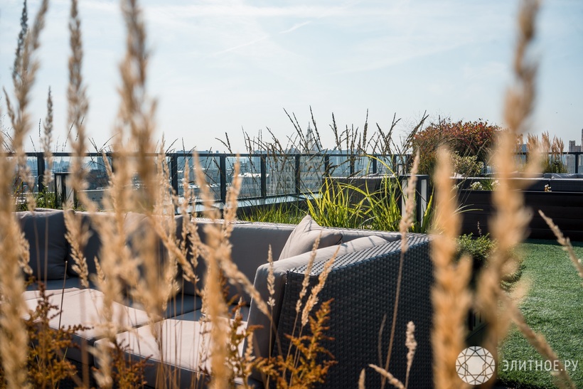 Московский дзен в «Садах Пекина»