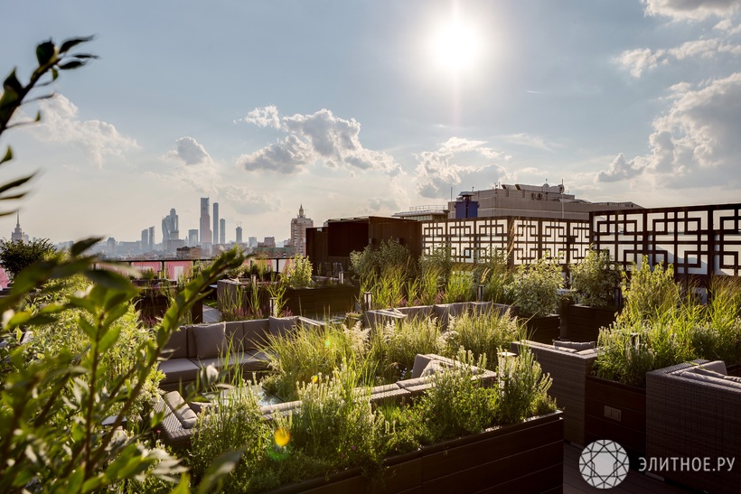 Московский дзен в «Садах Пекина»