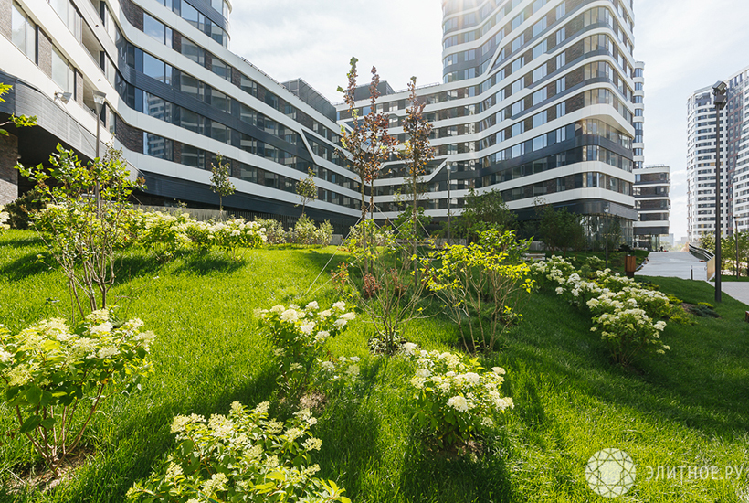 Девелоперы озаботились экологией жилья до пришествия коронавируса